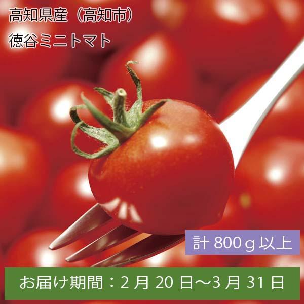 高知県産(高知市)徳谷ミニトマト 計800g以上【お届け期間:2月20日〜3月31日】【ふるさとの味・中四国】　商品画像1