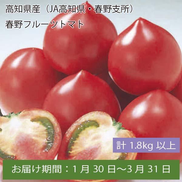 高知県産(JA高知県・春野支所)春野フルーツトマト 計1.8kg以上【お届け期間:1月30日〜3月31日】【ふるさとの味・中四国】　商品画像1