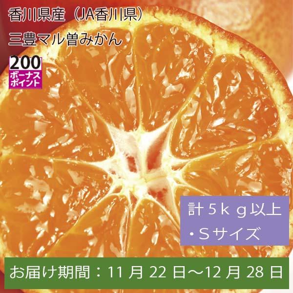 香川県産(JA香川県)三豊マル曽みかん 計5kg以上・Sサイズ【お届け期間:11月22日〜12月28日】【ふるさとの味・中四国】　商品画像1