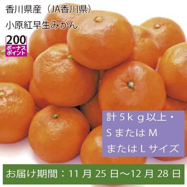 香川県産(JA香川県)小原紅早生みかん 計5kg以上・SまたはMまたはLサイズ【お届け期間:11月25日〜12月28日】【ふるさとの味・中四国】 |  みかん・柑橘類 - イオンショップ