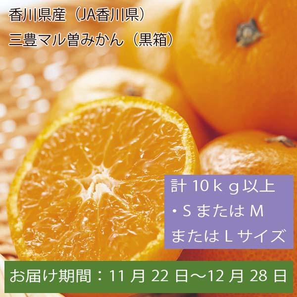 香川県産(JA香川県)三豊マル曽みかん(黒箱) 計10kg以上・SまたはMまたはLサイズ【お届け期間:11月22日〜12月28日】【ふるさとの味・中四国】　商品画像1