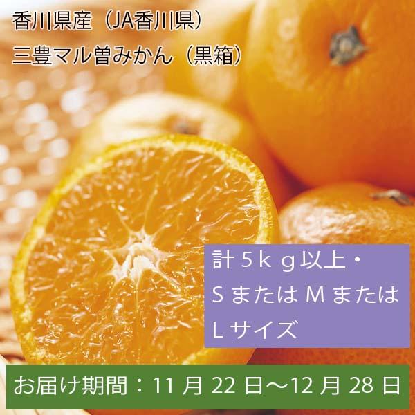 香川県産(JA香川県)三豊マル曽みかん(黒箱) 計5kg以上・SまたはMまたはLサイズ【お届け期間:11月22日〜12月28日】【ふるさとの味・中四国】　商品画像1