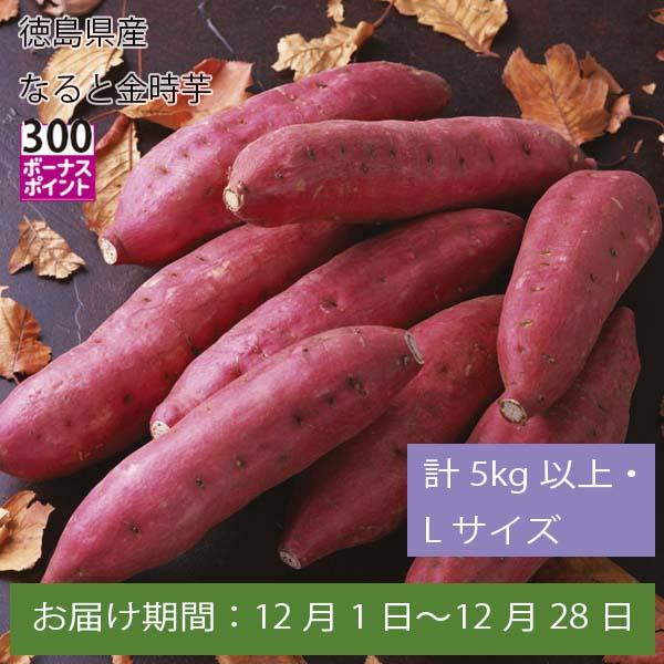 徳島県産 なると金時芋 計5kg以上・Lサイズ【お届け期間:12月1日〜12月28日】【ふるさとの味・中四国】　商品画像1