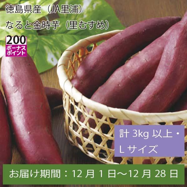 徳島県産(JA里浦) なると金時芋(里むすめ) 計3kg以上・Lサイズ【お届け期間:12月1日〜12月28日】【ふるさとの味・中四国】　商品画像1