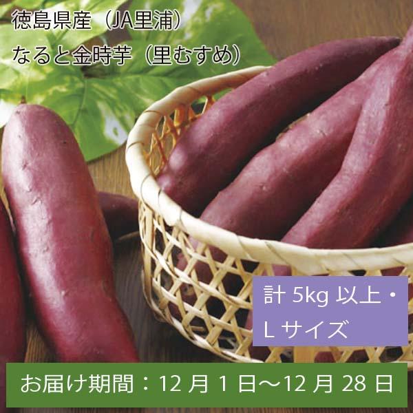 徳島県産(JA里浦) なると金時芋(里むすめ) 計5kg以上・Lサイズ【お届け期間:12月1日〜12月28日】【ふるさとの味・中四国】　商品画像1