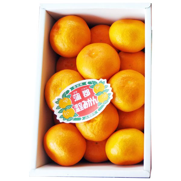 愛知県産 JA蒲郡市 蒲郡ハウスみかん化粧箱 Sサイズ 15個入【CB】 果物・野菜【季節の贈り物&ご褒美ギフト】 愛知県産 JA蒲郡市 蒲郡ハウスみかん化粧箱 Sサイズ 15個入【CB】 果物・野菜【季節の贈り物&ご褒美ギフト】