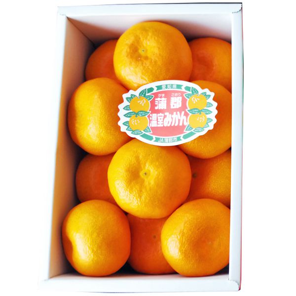 愛知県産 JA蒲郡市 蒲郡ハウスみかん化粧箱 Mサイズ 12個入【CB】 果物・野菜【季節の贈り物&ご褒美ギフト】 愛知県産 JA蒲郡市 蒲郡ハウスみかん化粧箱 Mサイズ 12個入【CB】 果物・野菜【季節の贈り物&ご褒美ギフト】
