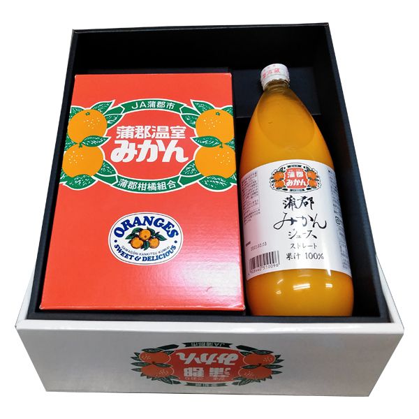 愛知県(JA蒲郡市) ハウスみかんと蒲郡みかんジュースのセット【お届け期間:7月1日〜8月7日】【CB】 商品画像1