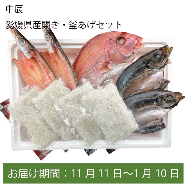 中辰 愛媛県産開き・釜あげセット あじ開き2枚、たい開き1枚、かます開き2枚、釜あげしらす【お届け期間:6月11日〜8月25日】【ふるさとの味・中四国】　商品画像1