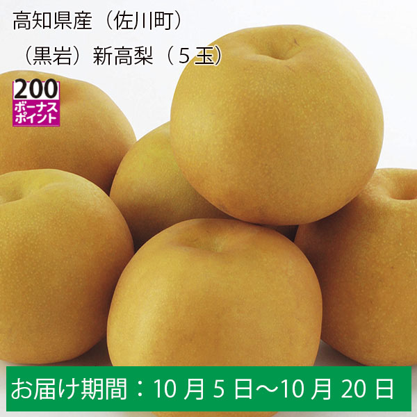 高知県産(佐川町)(黒岩)新高梨 計3.5kg以上・5玉入り【お届け期間:10月5日〜10月20日】【ふるさとの味・中四国】　商品画像1