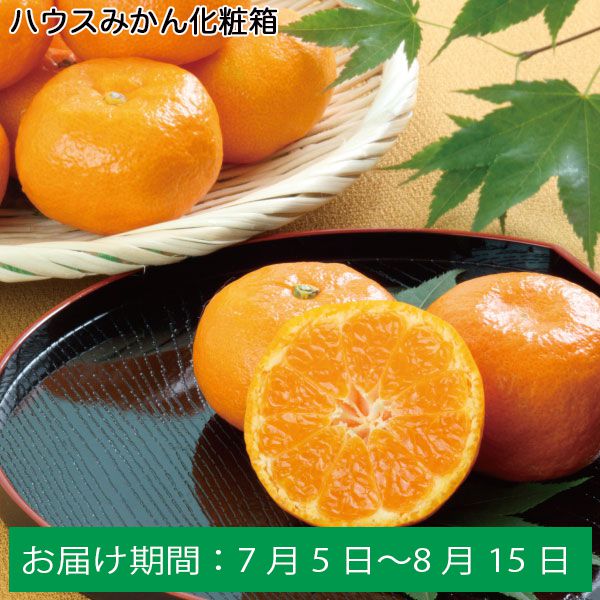 愛媛県産　ハウスみかん　箱込み約5㎏　柑橘　ミカン