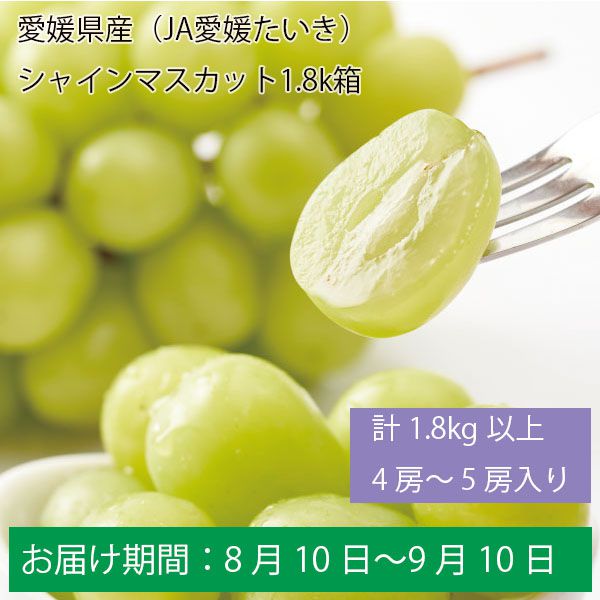 愛媛県産(JA愛媛たいき)シャインマスカット 計1.8kg以上4〜5房入り【お届け期間:8月10日〜9月10日】【ふるさとの味・中四国】　商品画像1