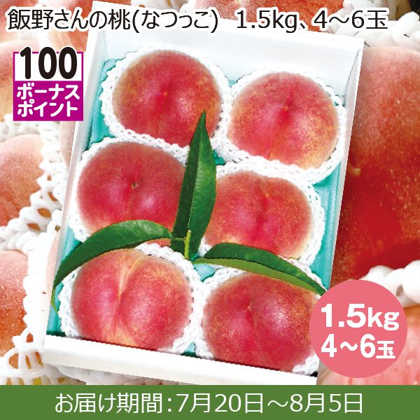 ⑮ 本日収穫！山形県産　晩生の桃『さくら白桃』加工推奨品!!5キロ箱詰め