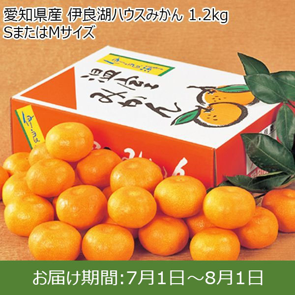 愛知県産 伊良湖ハウスみかん ふるさとの味 東海 みかん かんきつ類 イオンショップ