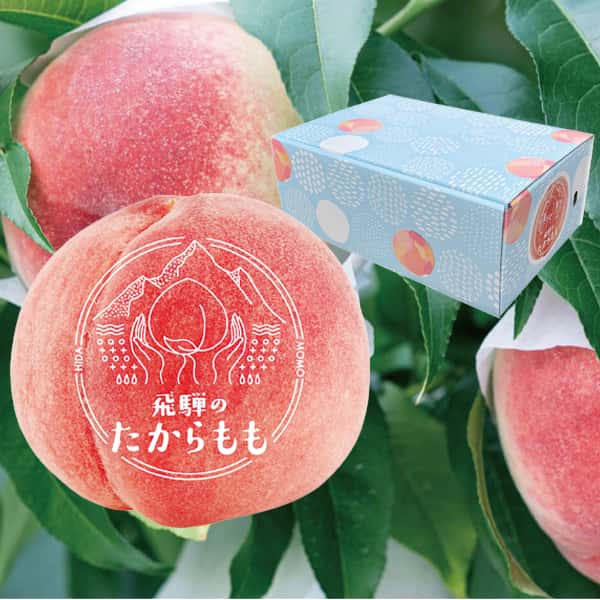 岐阜県高山市産 ※イノチオみらい 生産者厳選 「つむぎ果樹園」飛騨のたからもも【特選】 1.5kg(4〜6玉)※糖度13度以上厳選【CB】 果物・野菜【季節の贈り物&ご 岐阜県高山市産 ※イノチオみらい 生産者厳選 「つむぎ果樹園」飛騨のたからもも【特選】 1.5kg(4〜6玉)※糖度13度以上厳選【CB】 果物・野菜【季節の贈り物&ご