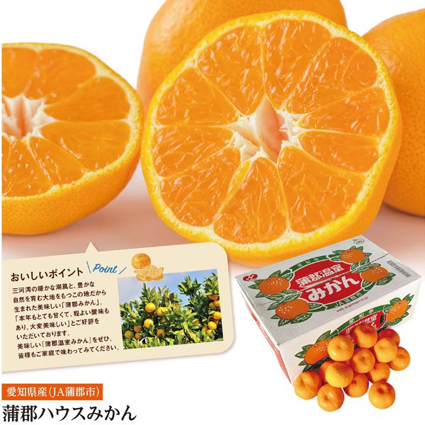 愛知県産(JA蒲郡市) 蒲郡ハウスみかん Mサイズ24個入り【CB】 果物・野菜【季節の贈り物&ご褒美ギフト】 愛知県産(JA蒲郡市) 蒲郡ハウスみかん Mサイズ24個入り【CB】 果物・野菜【季節の贈り物&ご褒美ギフト】