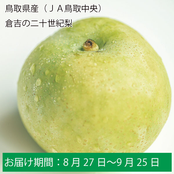 鳥取県産 二十世紀梨
