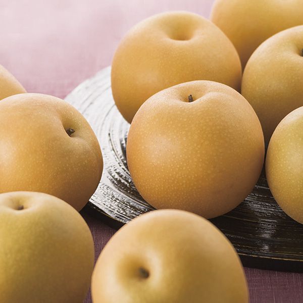 鳥取県産(JA鳥取中央) 倉吉の新甘泉梨 赤秀1.8kg2L6玉または3L5玉(お届け期間:8月20日〜9月15日)【NN】 果物・野菜【季節の贈り物&ご褒美ギフト】 鳥取県産(JA鳥取中央) 倉吉の新甘泉梨 赤秀1.8kg2L6玉または3L5玉(お届け期間:8月20日〜9月15日)【NN】 果物・野菜【季節の贈り物&ご褒美ギフト】
