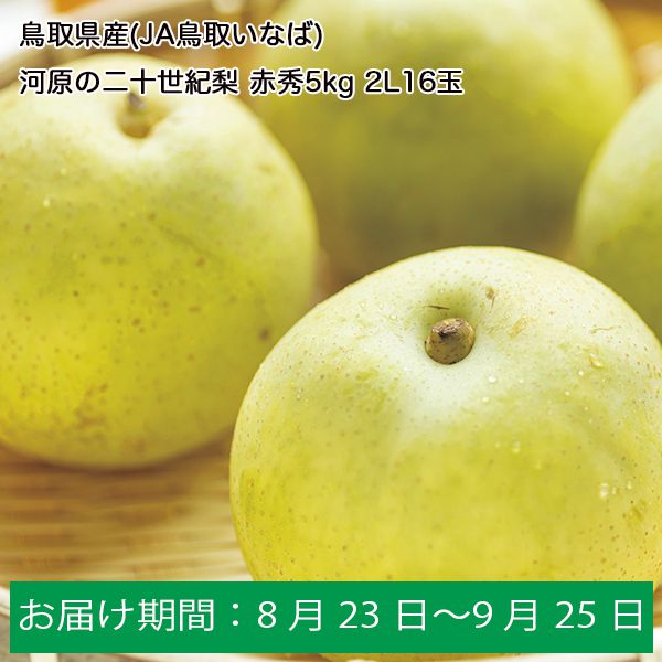 鳥取県産 二十世紀梨