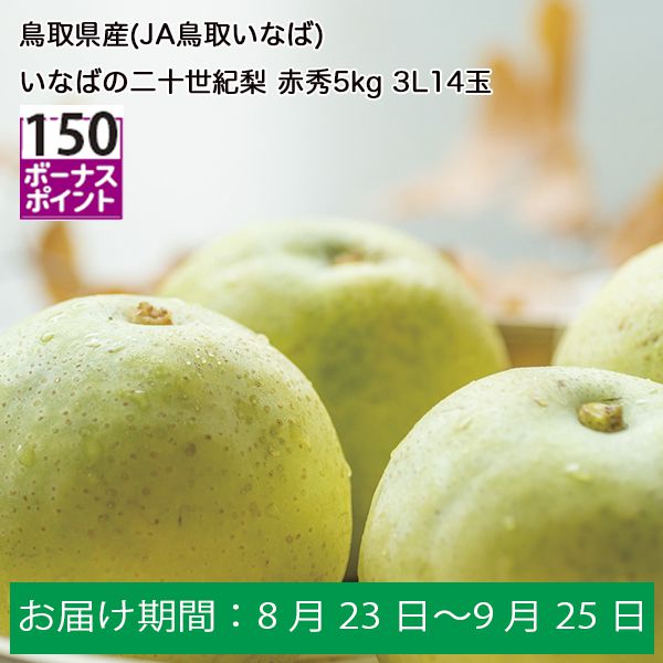 鳥取県産(JA鳥取いなば)いなばの二十世紀梨 限定10箱 赤秀5kg3L14玉 ...
