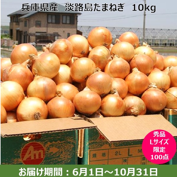 兵庫県産 JＡあわじ島 淡路島たまねぎ 秀品 Lサイズ 10kg 名産品 【限定100点】【お届け期間：6月1日〜10月31日】【旬の味覚便】【ふるさとの味・近畿】　商品画像1