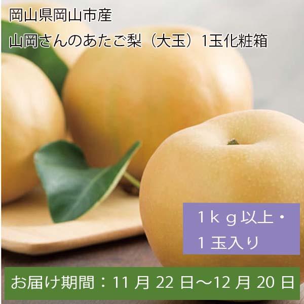 岡山県岡山市産 山岡さんのあたご梨(大玉) 化粧箱1kg以上・1玉入【お届け期間:11月22日〜12月20日】【ふるさとの味・中四国】　商品画像1