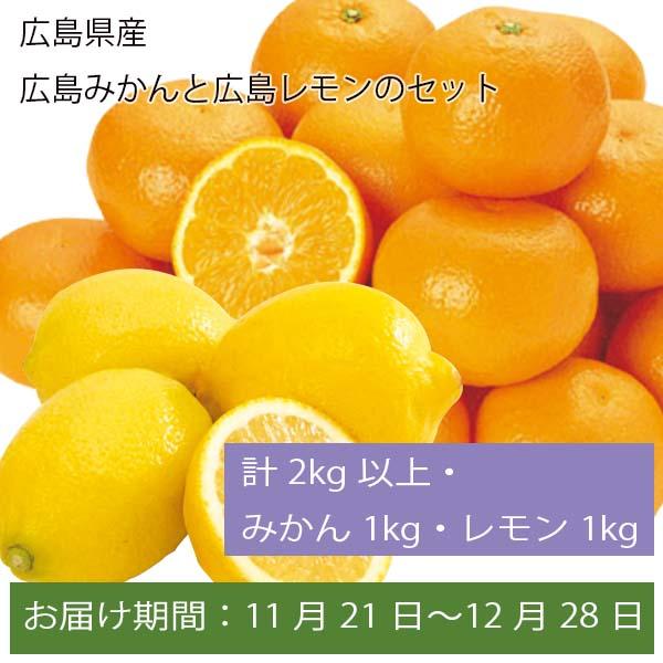 広島県産 広島みかんと広島レモンのセット 計2kg以上(みかん1kg・レモン1kg)【お届け期間:11月21日〜12月28日】【ふるさとの味・中四国】　商品画像1