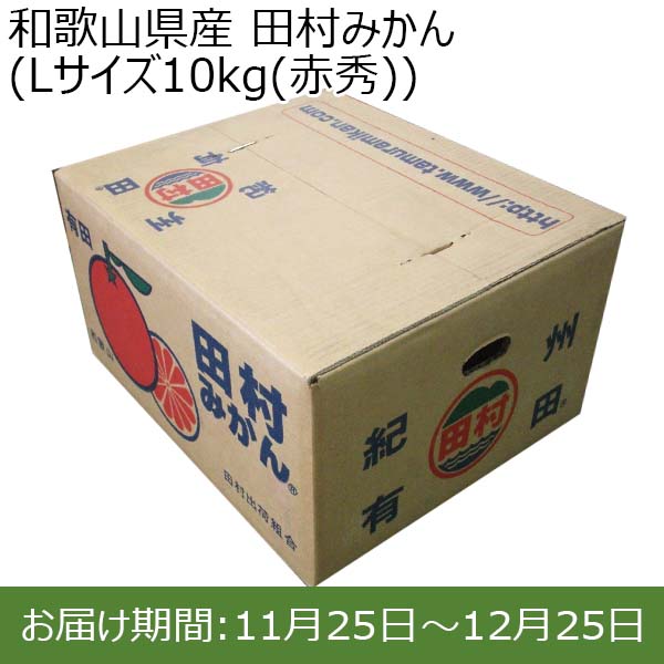 和歌山県産 田村みかん (Lサイズ10kg(赤秀))【お届け期間：11月25日(月)〜12月25日(水)】【ふるさとの味・近畿】　商品画像1