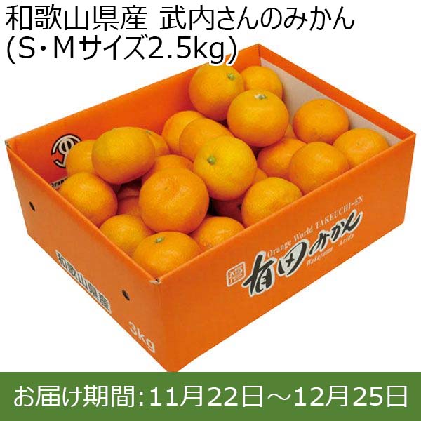 和歌山県産 武内さんのみかん (S・Ｍサイズ2.5kg)【お届け期間：11月22日(金)〜12月25日(水)】【ふるさとの味・近畿】　商品画像1