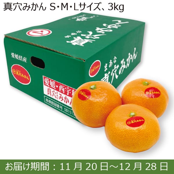 愛媛県JAにしうわ 真穴みかん(S・M・Lサイズ 3kg)【限定100点】【お届け期間：11/20(水)〜12/28(土)】【ふるさとの味・南関東】　商品画像1