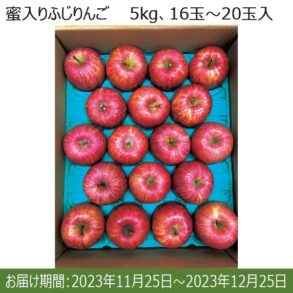 秋田県JA秋田ふるさと ふじりんご 蜜入り 秋田県産(5kg16玉〜20玉