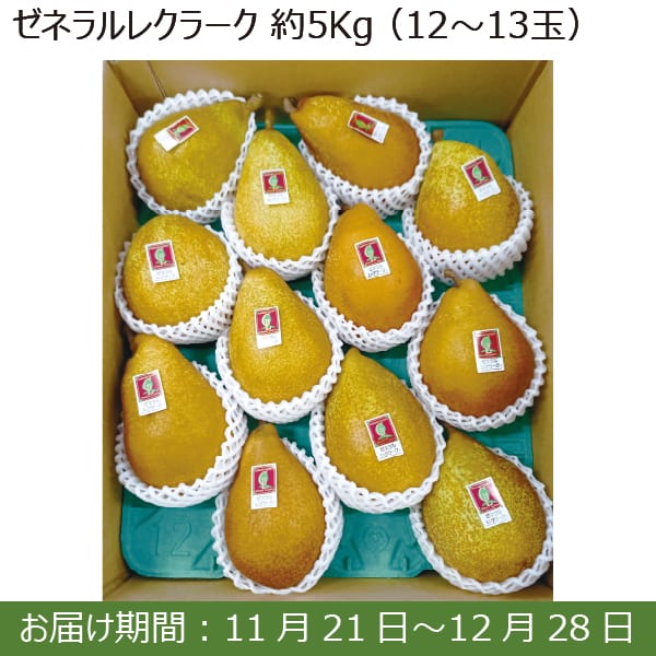 青森県産(JA八戸) ゼネラルレクラーク(5kg 12玉〜13玉)【お届け期間：11/21(木)〜12/28(土)】【ふるさとの味・南関東】　商品画像1