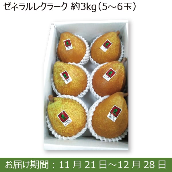 青森県産(JA八戸) ゼネラルレクラーク(3kg 5玉〜6玉)【お届け期間：11/21(木)〜12/28(土)】【ふるさとの味・南関東】　商品画像1