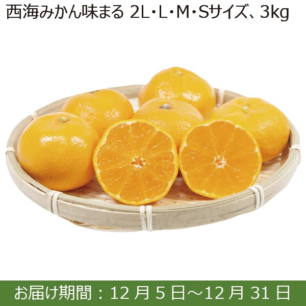 長崎県 西海みかん味まる(3kg(2L,L,M,Sサイズ))【お届け期間：12/5(木)〜12/31(火)】【ふるさとの味・南関東】　商品画像1