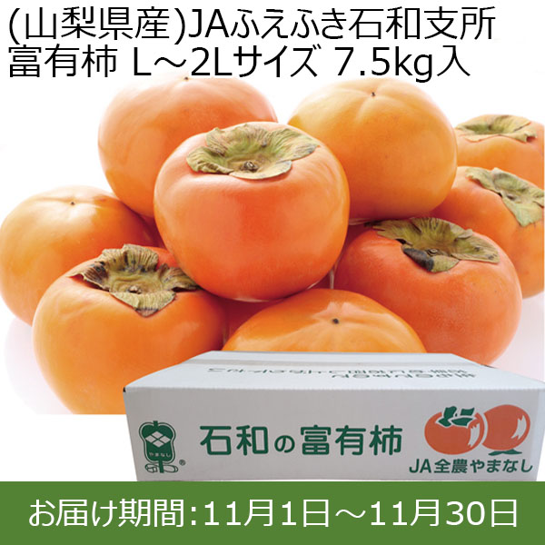 (山梨県産)JAふえふき石和支所 富有柿 L〜2Lサイズ7.5kg入り 皇室献上柿の産地として評価の高い柿【お届け期間：11/1(金)〜11/30(土)】【ふるさとの味・北関東】　商品画像1