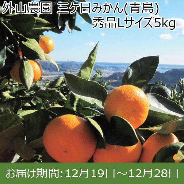 静岡県産(三ヶ日町 外山農園)三ケ日みかん(青島) 秀品 Lサイズ 5kg【限定50箱】【お届け期間：12/19(木)〜12/28(土)】【ふるさとの味・東海】　商品画像1