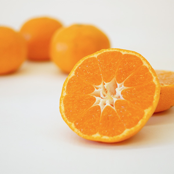 静岡県産(三ケ日) 熟果みかん 青島種 3kg【お届け期間:1月5日〜1月31日】【お買い得セール12月】 商品画像1