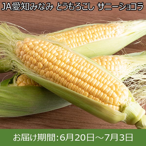 愛知県産 JA愛知みなみ とうもろこし サニーショコラ 3kg 8~10本【イオンカード会員限定】　商品画像1