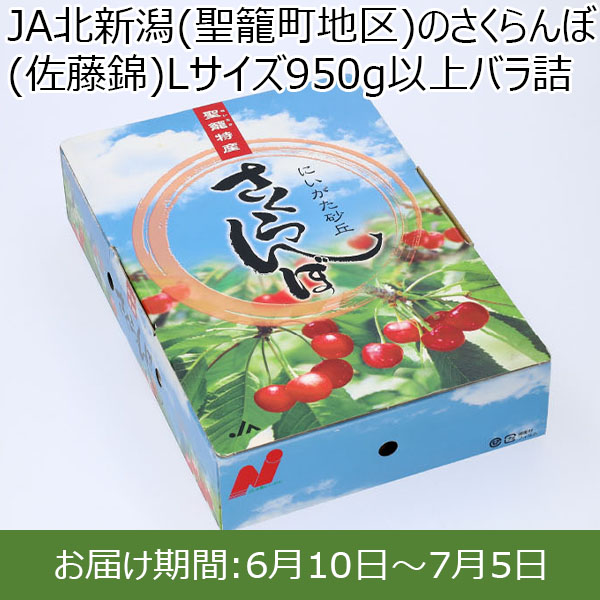 JA北新潟(聖籠町地区)のさくらんぼ(佐藤錦)Lサイズ950g以上バラ詰め【お届け期間:6/10〜7/5】【ふるさとの味・北陸信越】　商品画像1