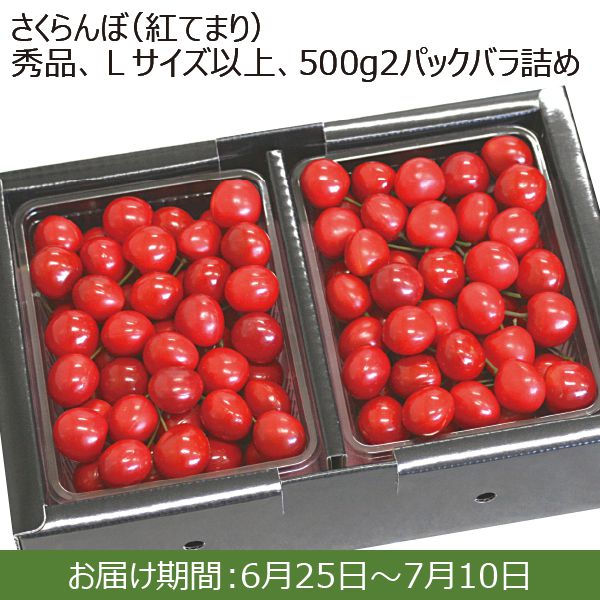 山形県産 さくらんぼ(紅てまり)(秀品、Lサイズ以上、500g×2パック ...