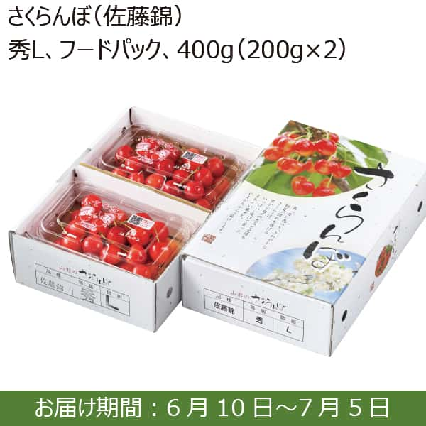 山形県天童市産 さくらんぼ(佐藤錦)(秀品 Lサイズ 400g 200g×2パック フードパック)【限定300点】【お届け期間：6/10(月)〜7/5(金)】【ふるさとの味・南関東】　商品画像1