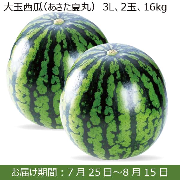秋田県産「あきたの夏丸西瓜」Lサイズ × 2玉
