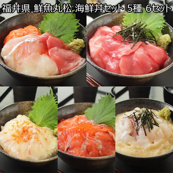 福井県 鮮魚丸松 海鮮丼セット 5種 6セット【おいしいお取り寄せ】　商品画像1