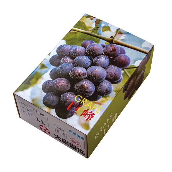 新潟県産 巨峰(800g)【お届け期間:7月21日〜8月20日】【KN】 果物・野菜【季節の贈り物&ご褒美ギフト】 新潟県産 巨峰(800g)【お届け期間:7月21日〜8月20日】【KN】 果物・野菜【季節の贈り物&ご褒美ギフト】