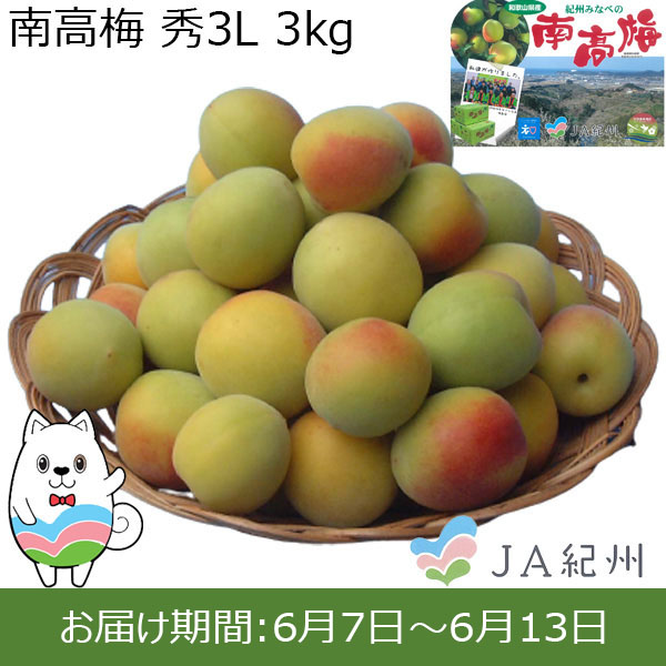 通販高評価和歌山県産　紀州産南高梅　秀品3L　13入り 果物