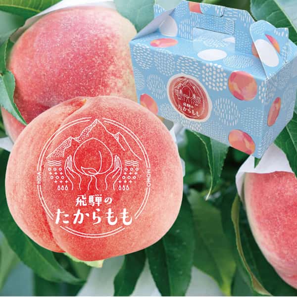 岐阜県高山市産 ※イノチオみらい 生産者厳選 「つむぎ果樹園」飛騨のたからもも【特上】 500g(2玉入)※糖度15度以上厳選【CB】 果物・野菜【季節の贈り物&ご褒 岐阜県高山市産 ※イノチオみらい 生産者厳選 「つむぎ果樹園」飛騨のたからもも【特上】 500g(2玉入)※糖度15度以上厳選【CB】 果物・野菜【季節の贈り物&ご褒