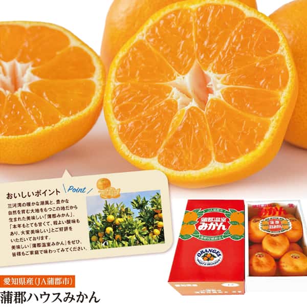 愛知県産(JA蒲郡市) 蒲郡ハウスみかん Sサイズ15個入り【CB】 果物・野菜【季節の贈り物&ご褒美ギフト】 愛知県産(JA蒲郡市) 蒲郡ハウスみかん Sサイズ15個入り【CB】 果物・野菜【季節の贈り物&ご褒美ギフト】