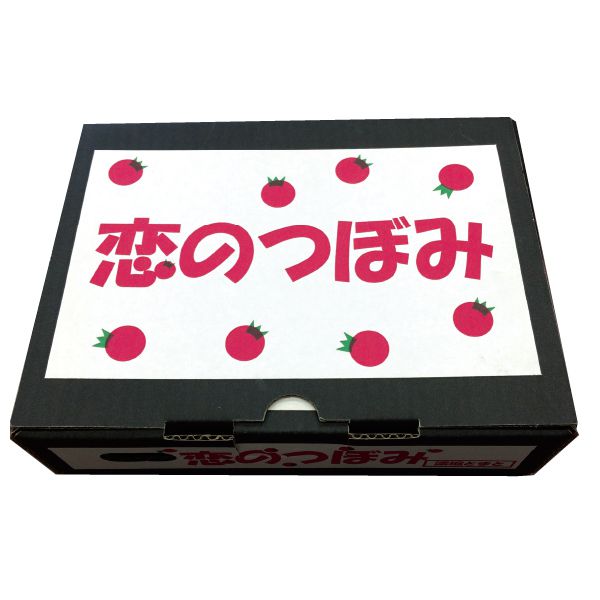 茨城県産JAなめがたしおさいフルーツトマト(恋のつぼみ)1kg「お届け期間」2025/10/15〜2025/10/31【KN】 果物・野菜【季節の贈り物&ご褒美ギフト】 茨城県産JAなめがたしおさいフルーツトマト(恋のつぼみ)1kg「お届け期間」2025/10/15〜2025/10/31【KN】 果物・野菜【季節の贈り物&ご褒美ギフト】