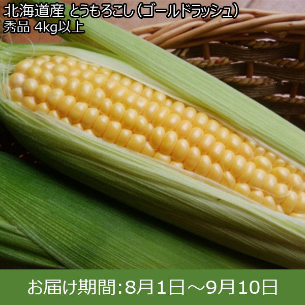 オプティミスティック 鹿児島県産 ヤングコーン 50〜60本 箱込み4キロ