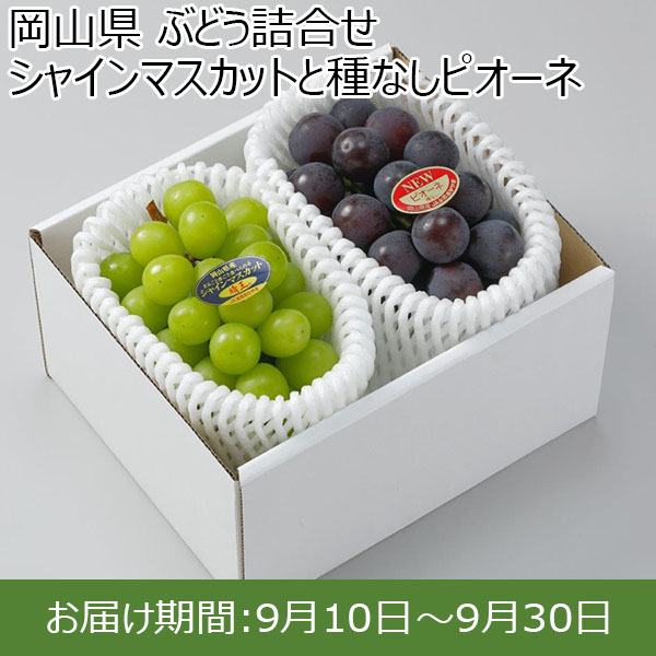 販促ブック ③岡山県産シャインマスカット4kg 果物 haa.group